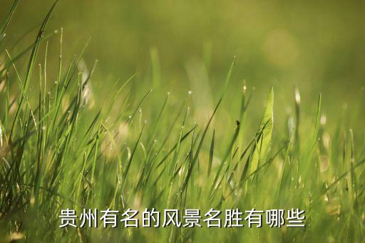 贵州十大名胜古迹排名，贵州有名的风景名胜有哪些