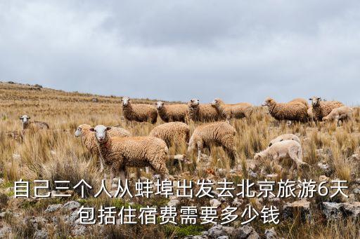 自己三个人从蚌埠出发去北京旅游6天包括住宿费需要多少钱