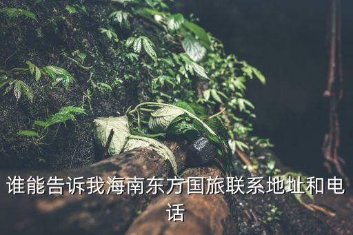 谁能告诉我海南东方国旅联系地址和电话