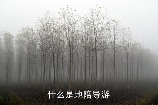 什么是地陪导游