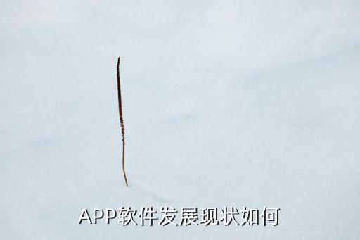 APP软件发展现状如何