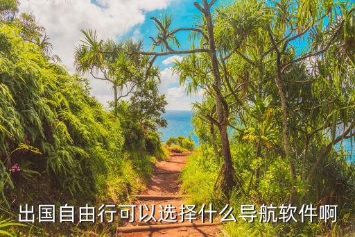 什么地图可以导航国外，在国外手机哪些地图可以用