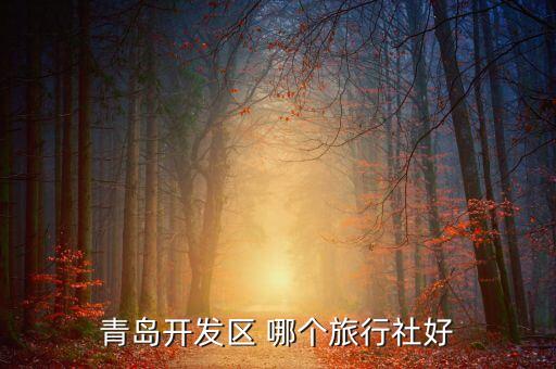 开发区旅行社哪家好，青岛开发区 哪个旅行社好