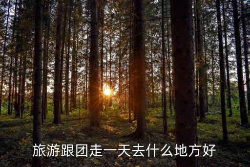 旅行团旅游一日游，旅游跟团走一天去什么地方好