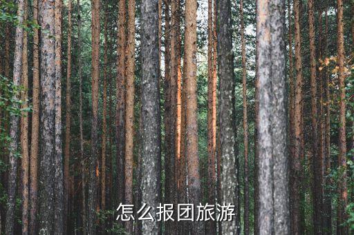 怎么报团旅游