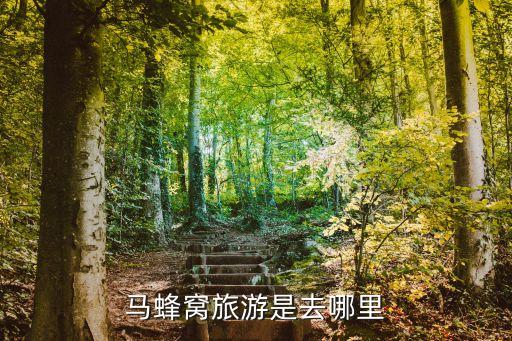 马蜂窝旅游是去哪里