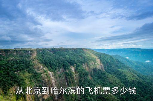 从北京到哈尔滨的飞机票多少钱