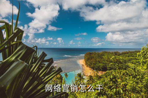 网络营销怎么干