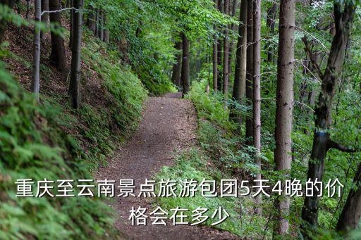 重庆至云南景点旅游包团5天4晚的价格会在多少