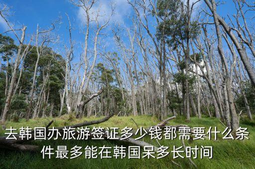 韩国旅游签2021，韩国旅游签证有哪几种停留时间各多少