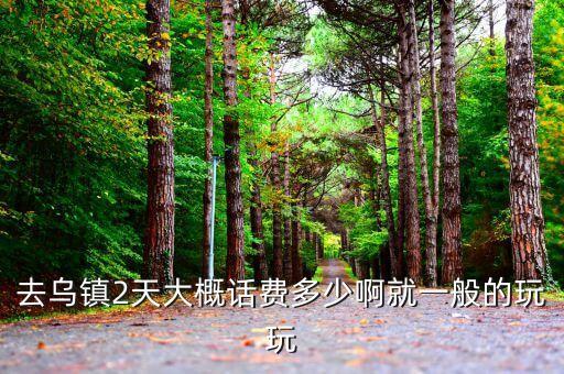 去乌镇玩两天要多少钱，从宁波出发在杭州乌镇玩两天要花多少钱