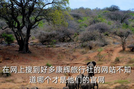 在网上搜到好多康辉旅行社的网站不知道哪个才是他们的官网