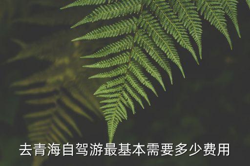 去青海自驾游最基本需要多少费用