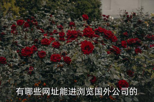 有哪些网址能进浏览国外公司的