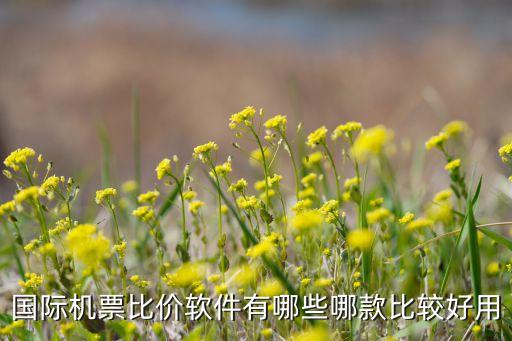 国际机票比价软件有哪些哪款比较好用