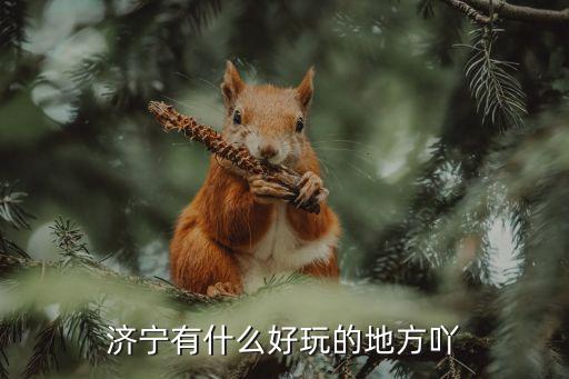 济宁有什么好玩的地方吖