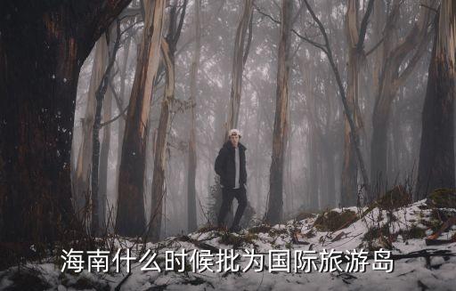 国际旅游岛定义，海南什么时候被称作国际旅游岛