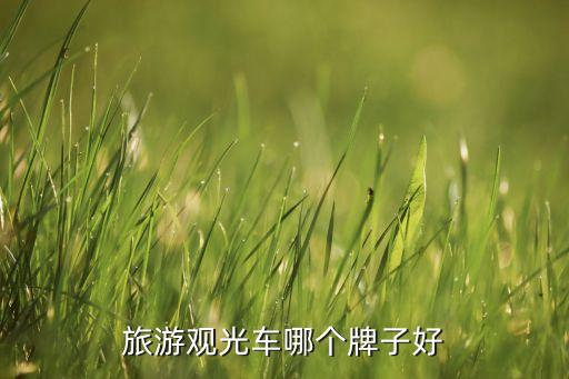 观光车厂家，旅游观光车哪个生产商好求懂行的帮忙介绍一下