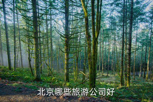 北京哪些旅游公司好