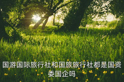 国际旅行社是国企吗，海航集团旗下的幸运国际旅行社是国企吗