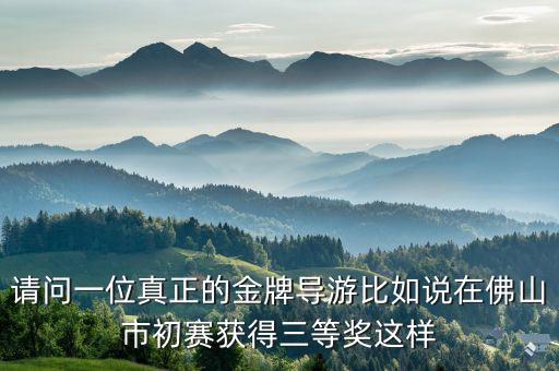 请问一位真正的金牌导游比如说在佛山市初赛获得三等奖这样