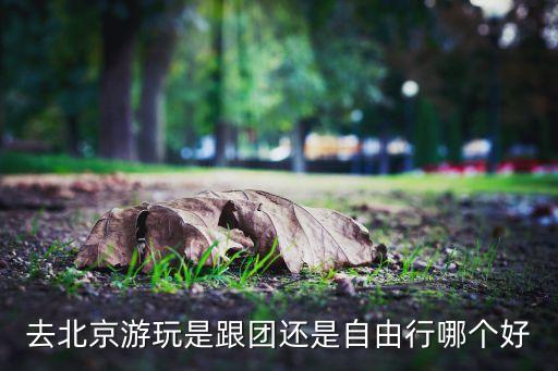 去北京游玩是跟团还是自由行哪个好