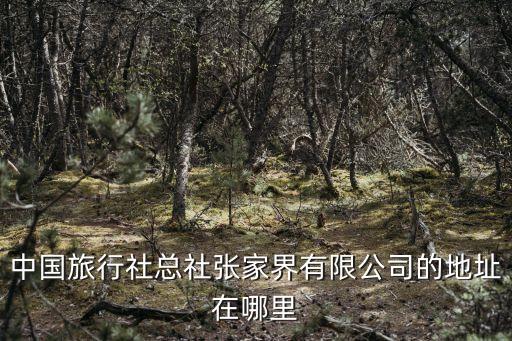 张家界旅行社股份有限公司，张家界市中国旅行社有限责任公司可靠吗