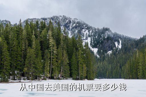 从中国去美国的机票要多少钱