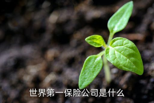 全球保险品牌排行榜第一，求世界十大保险公司排名