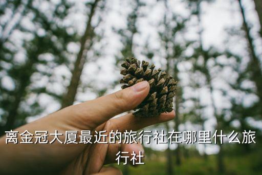 最近的旅游公司，请问哪家旅行社离龙亭景区最近啊