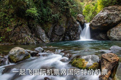 一起飞国际机票网国际特价机票