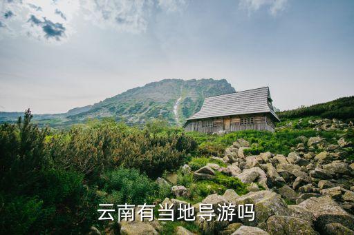 云南有当地导游吗