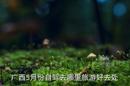 广西5月份自驾去哪里旅游好去处