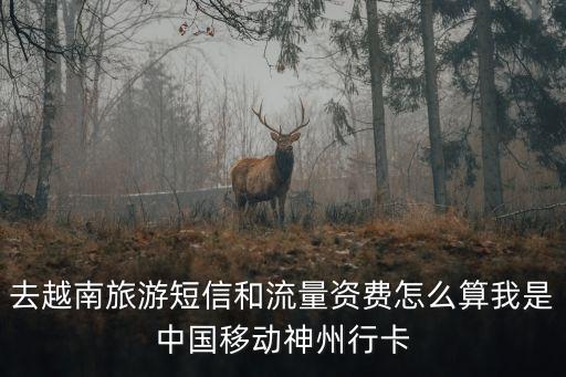 办理国际漫游上网怎么算
