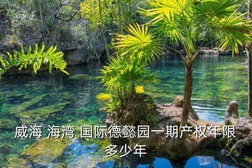 盛德海湾国际