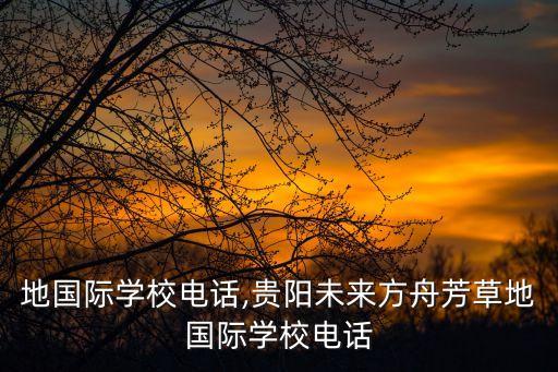 芳草地国际学校电话,贵阳未来方舟芳草地国际学校电话