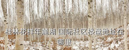 成都麓湖国际