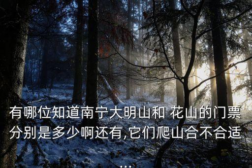 宁明花山国际影城在哪