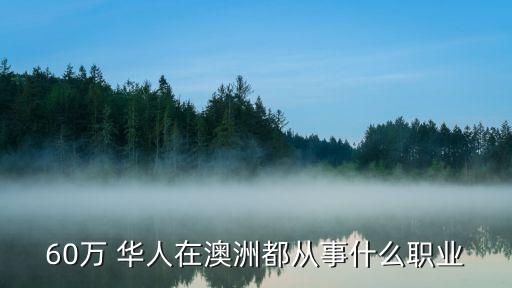 国外的华人一般都做什么工作,华人在国外做什么生意的最多