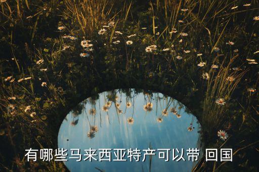 在国外怎么把榴莲回国,国外买榴莲能托运回国吗