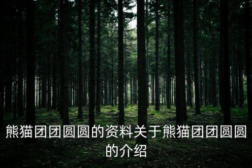 国外车队迎接大熊猫,载着大熊猫什么的车队