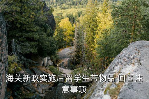在国外买东西怎么带回国,国外买东西的app