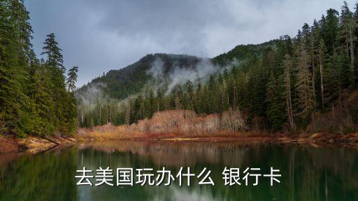 去国外用什么银行卡方便,什么银行卡可以收到国外汇款