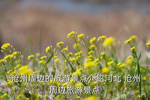 沧州盛泰国际酒店温泉地址