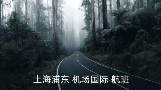 上海浦东机场到达国际航班查询