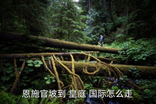 武汉皇庭国际休闲,青岛皇庭国际休闲会馆