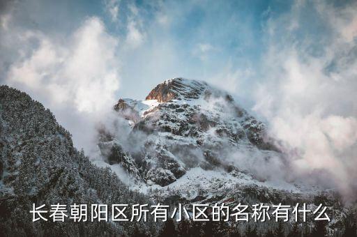 长春 兆丰国际,长春兆丰国际11楼是什么公司