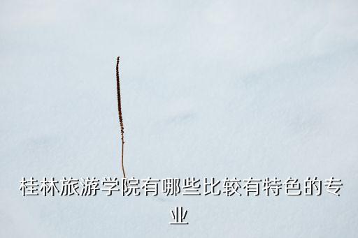 桂林 金桂国际,桂林金桂国际属于哪个社区