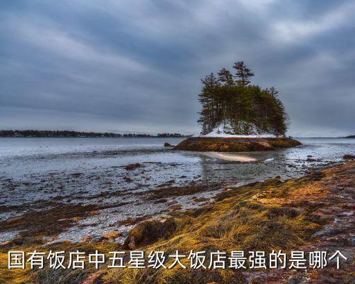 包头神华国际大酒