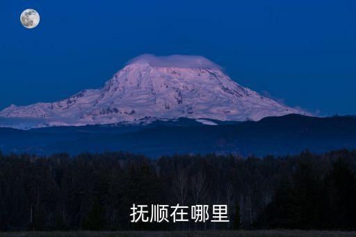 抚顺国际新城怎么坐车,抚顺印象新城坐车路线